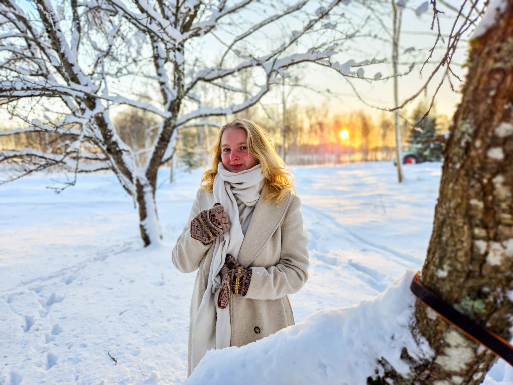 My winterwonderland// story&nbsp;10